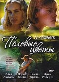 Полевые цветы (1999)