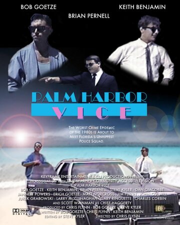 Palm Harbor Vice (1991)